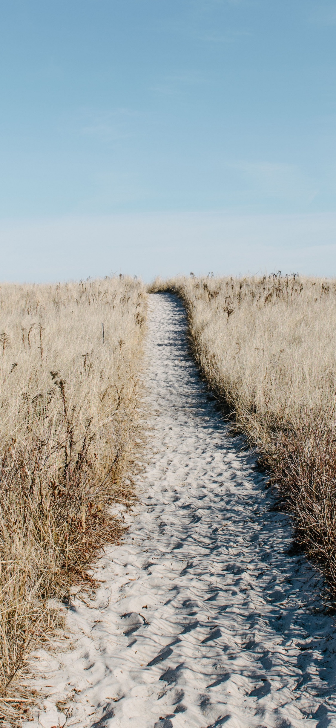 Naturlandschaft, Gras, Road, Gras-Familie, Grünland. Wallpaper in 1125x2436 Resolution