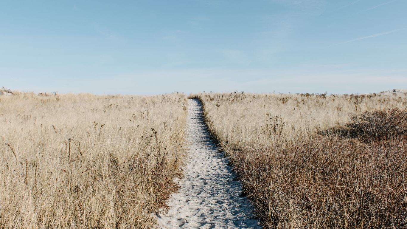 Naturlandschaft, Gras, Road, Gras-Familie, Grünland. Wallpaper in 1366x768 Resolution