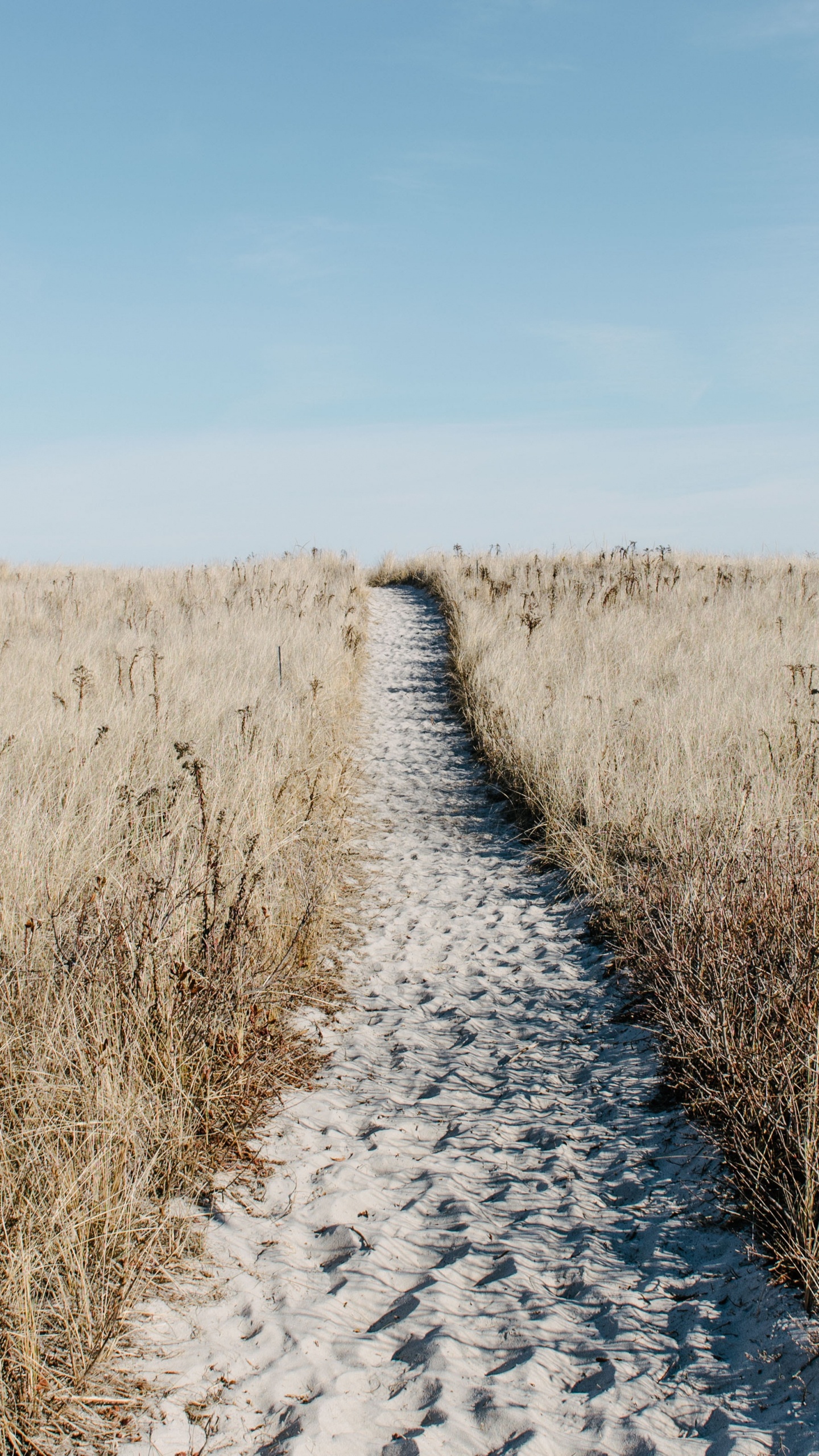 Naturlandschaft, Gras, Road, Gras-Familie, Grünland. Wallpaper in 1440x2560 Resolution