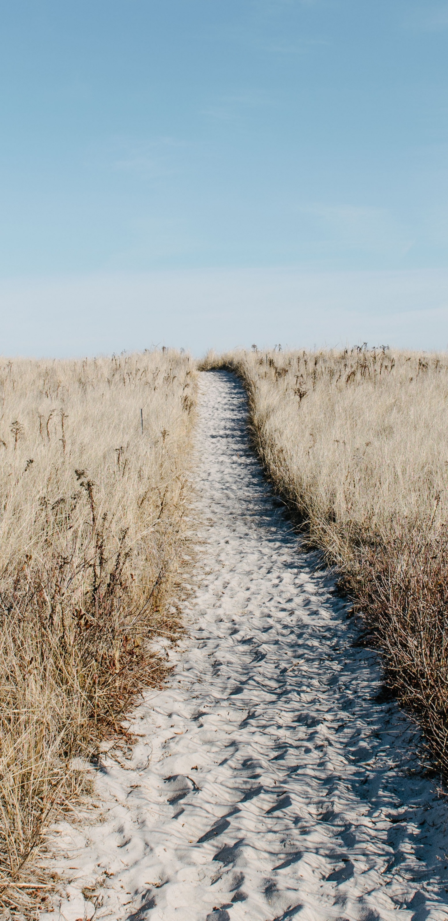 Naturlandschaft, Gras, Road, Gras-Familie, Grünland. Wallpaper in 1440x2960 Resolution