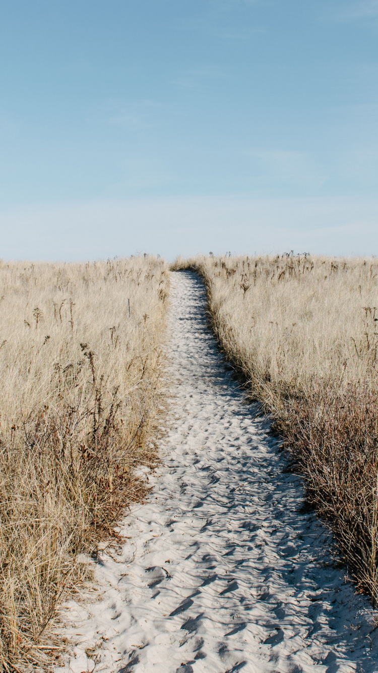 Naturlandschaft, Gras, Road, Gras-Familie, Grünland. Wallpaper in 750x1334 Resolution