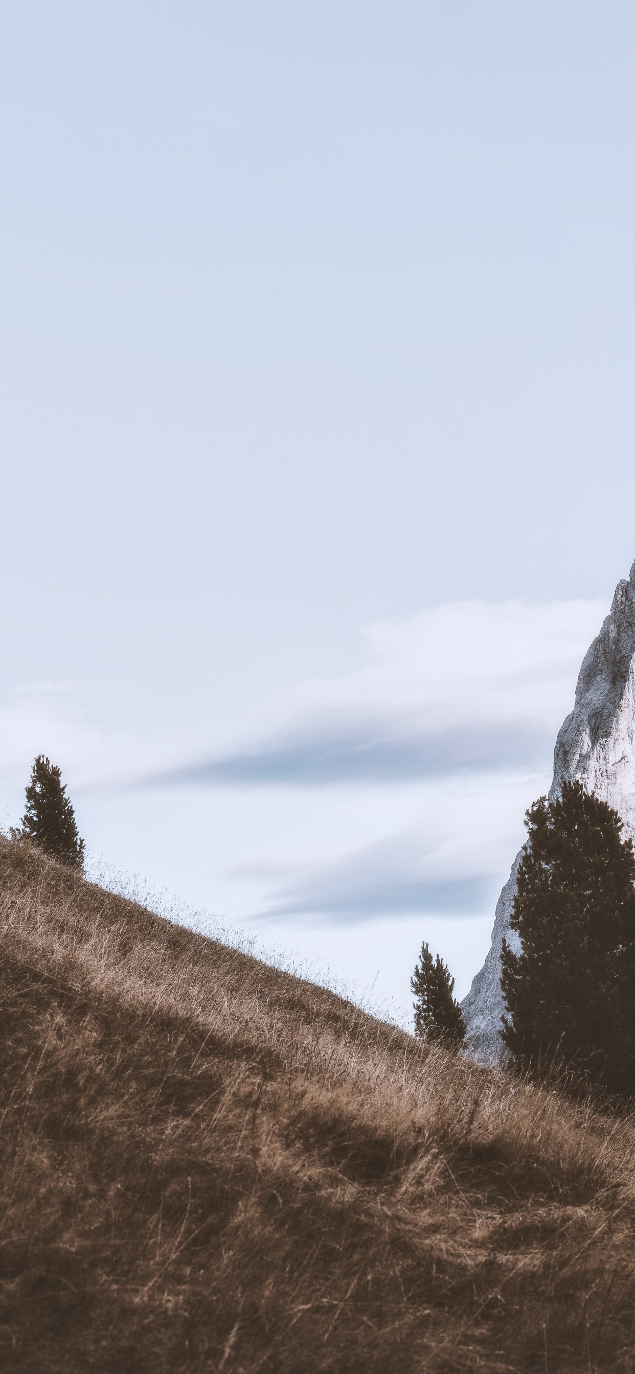 Bergigen Landschaftsformen, Baum, Hill, Naturlandschaft, Rock. Wallpaper in 1242x2688 Resolution