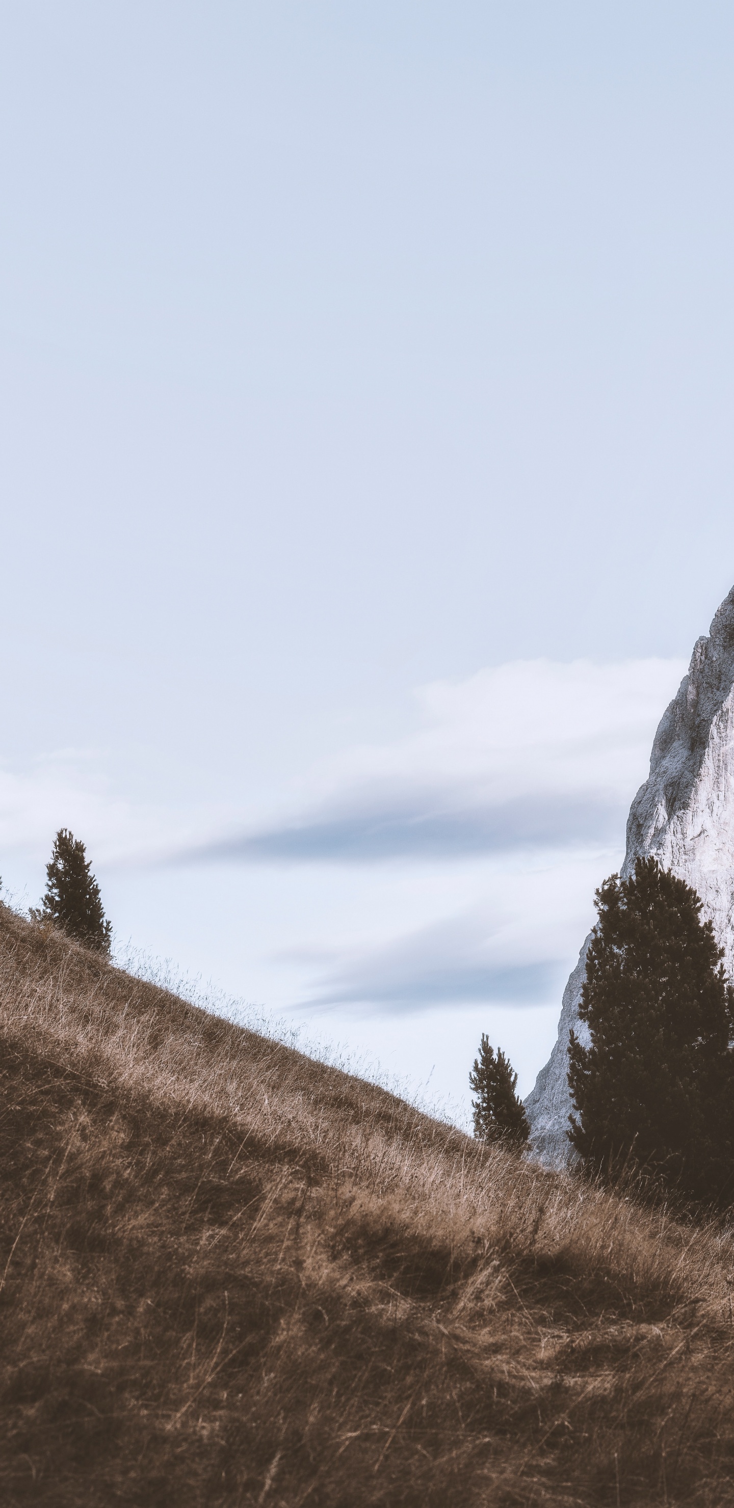 Bergigen Landschaftsformen, Baum, Hill, Naturlandschaft, Rock. Wallpaper in 1440x2960 Resolution