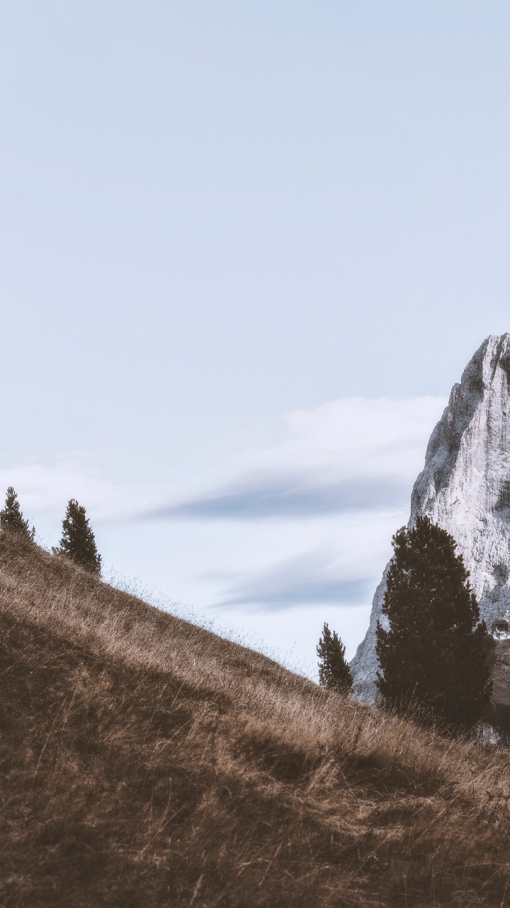 Bergigen Landschaftsformen, Baum, Hill, Naturlandschaft, Rock. Wallpaper in 720x1280 Resolution