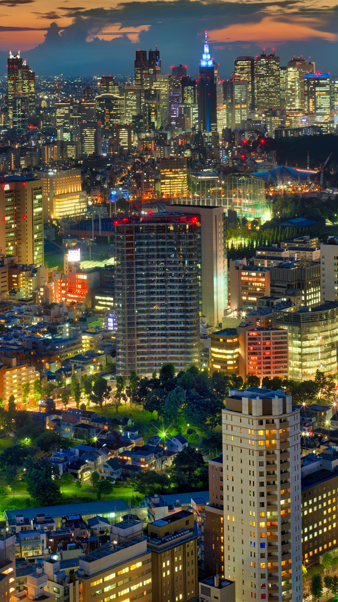 City With High Rise Buildings During Night Time. Wallpaper in 1080x1920 Resolution