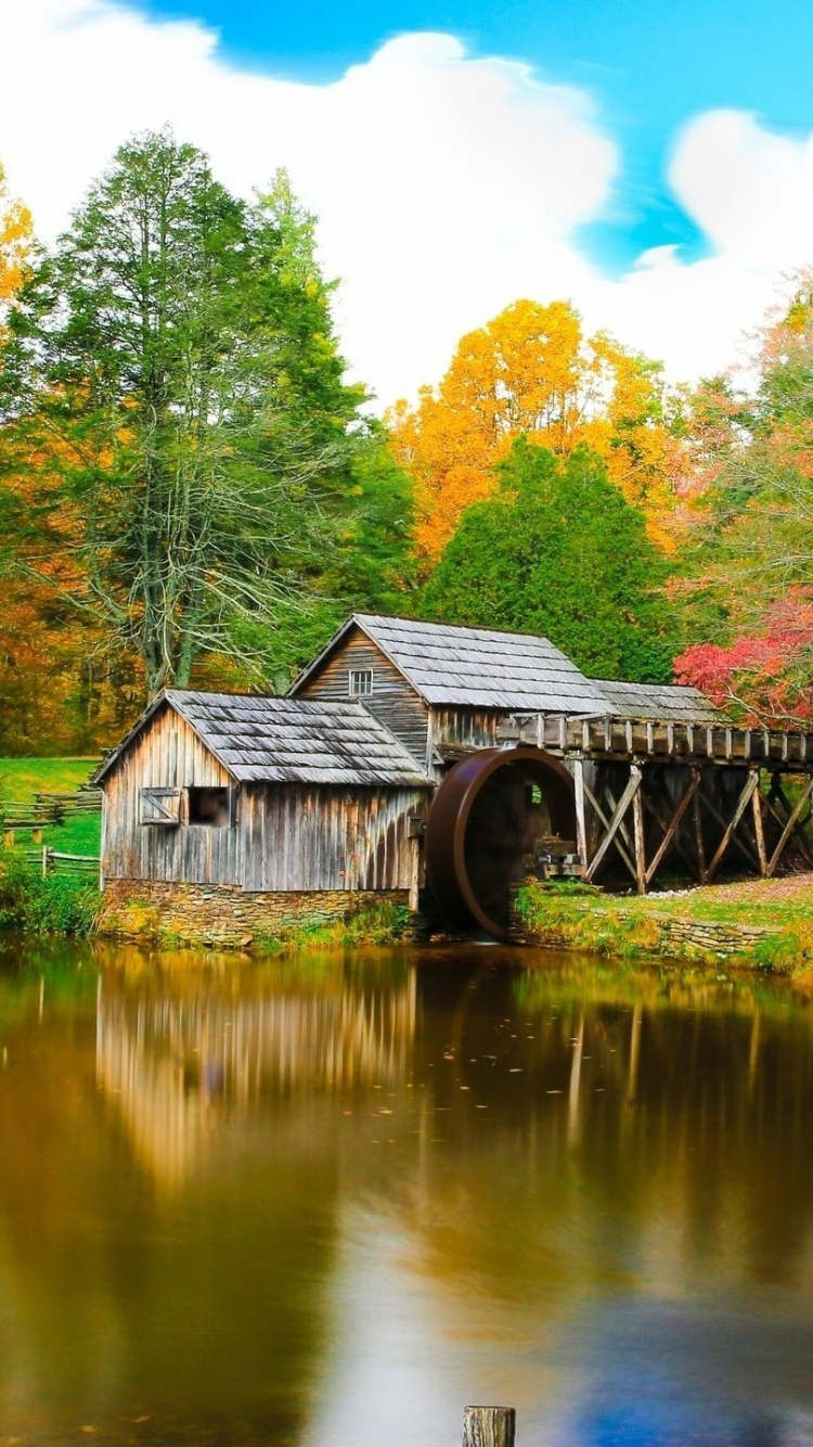 Brown Wooden House Near Lake Surrounded by Trees During Daytime. Wallpaper in 750x1334 Resolution