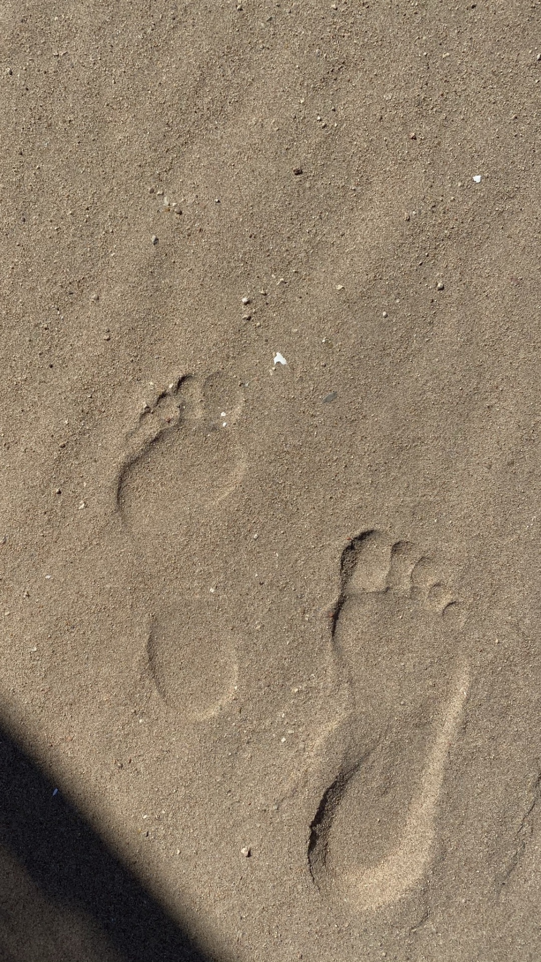 Sand, Wood, Grey, Automotive Tire, Footprint. Wallpaper in 1080x1920 Resolution