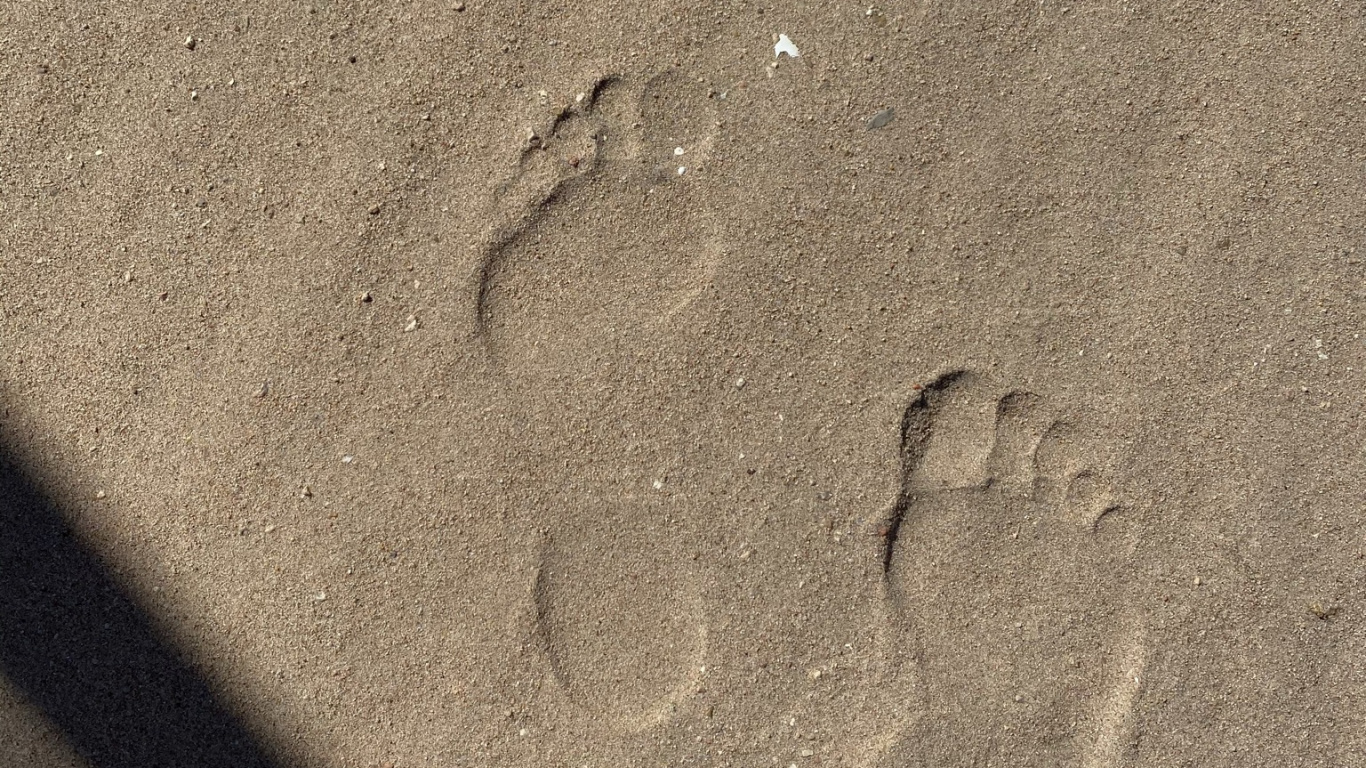 Sand, Wood, Grey, Automotive Tire, Footprint. Wallpaper in 1366x768 Resolution