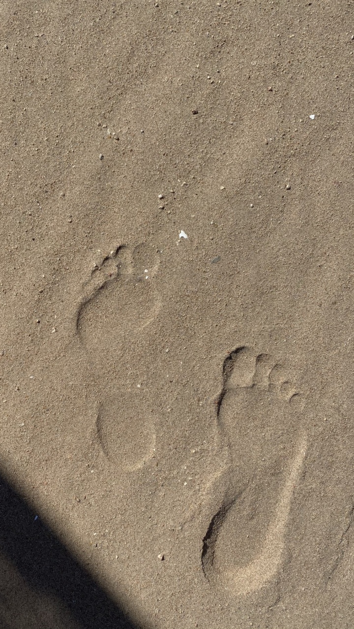Sand, Wood, Grey, Automotive Tire, Footprint. Wallpaper in 720x1280 Resolution