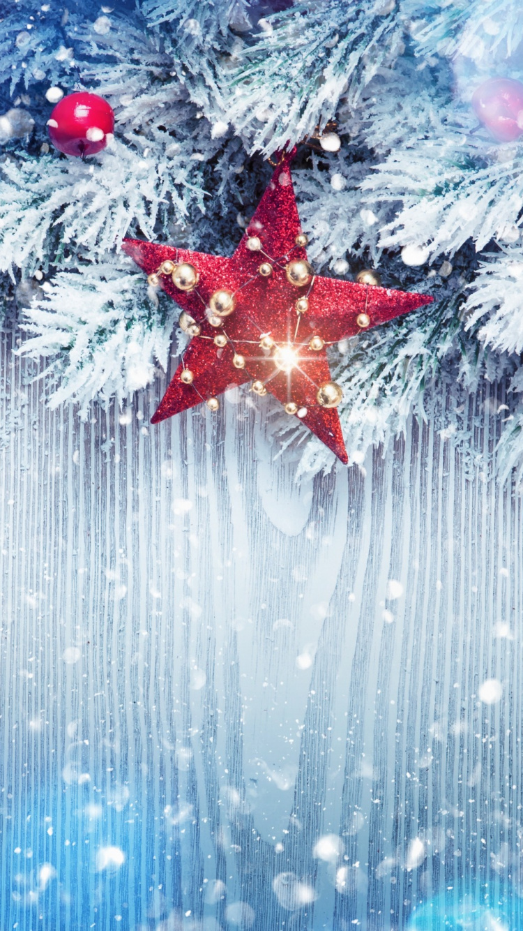 El Día De Navidad, Decoración de la Navidad, Adorno de Navidad, Helada, Invierno. Wallpaper in 750x1334 Resolution