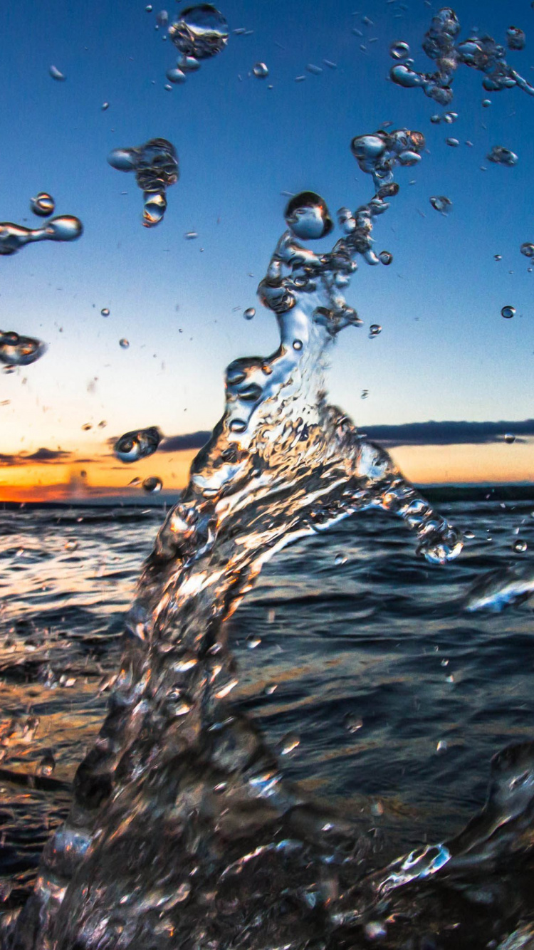 Water, Liquid, Atmosphere, Plant, Cloud. Wallpaper in 750x1334 Resolution