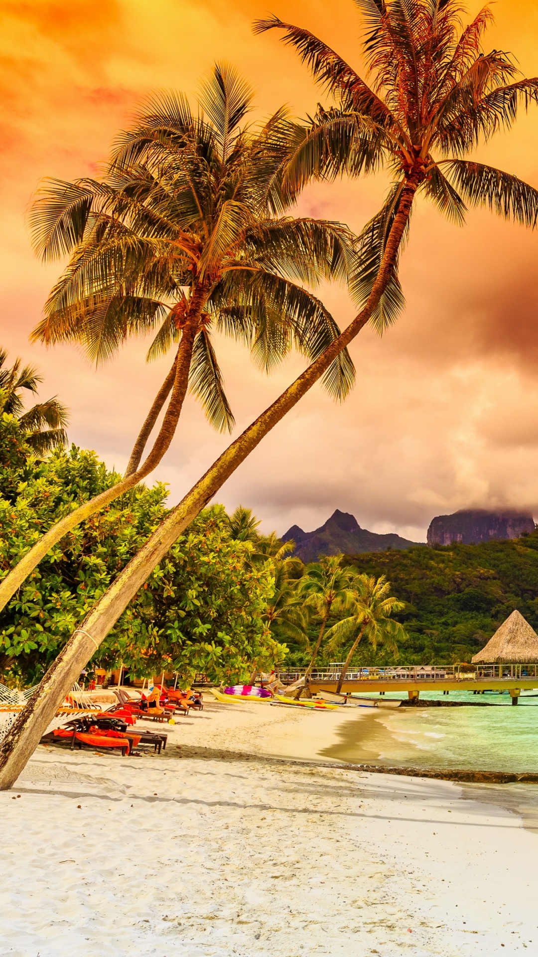 Grüne Palmen in Der Nähe Von Gewässern Während Des Sonnenuntergangs. Wallpaper in 1080x1920 Resolution