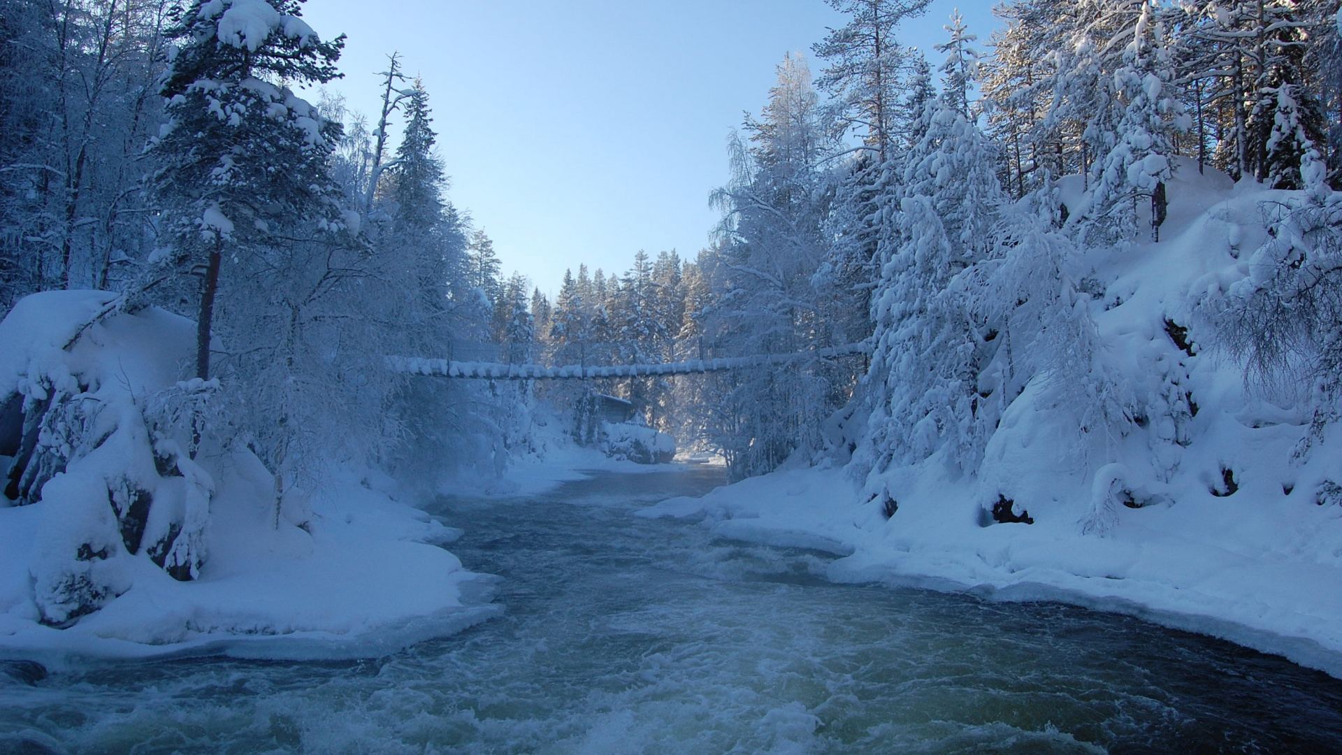 Snow Covered Trees and Body of Water During Daytime. Wallpaper in 1920x1080 Resolution