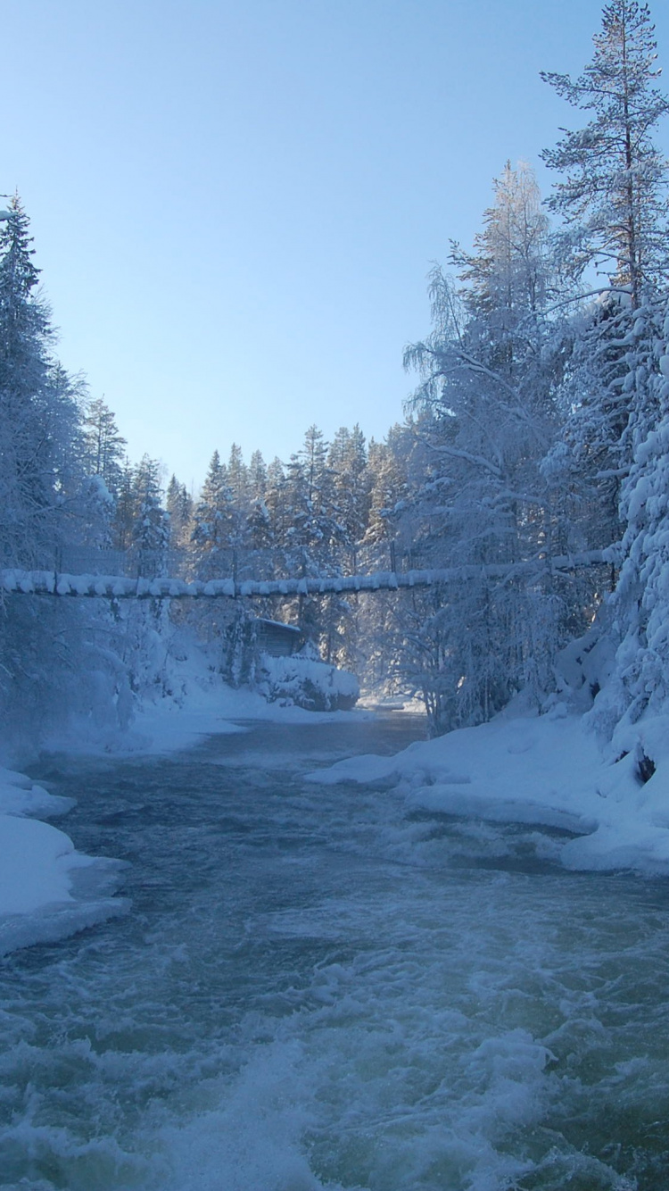 Snow Covered Trees and Body of Water During Daytime. Wallpaper in 750x1334 Resolution