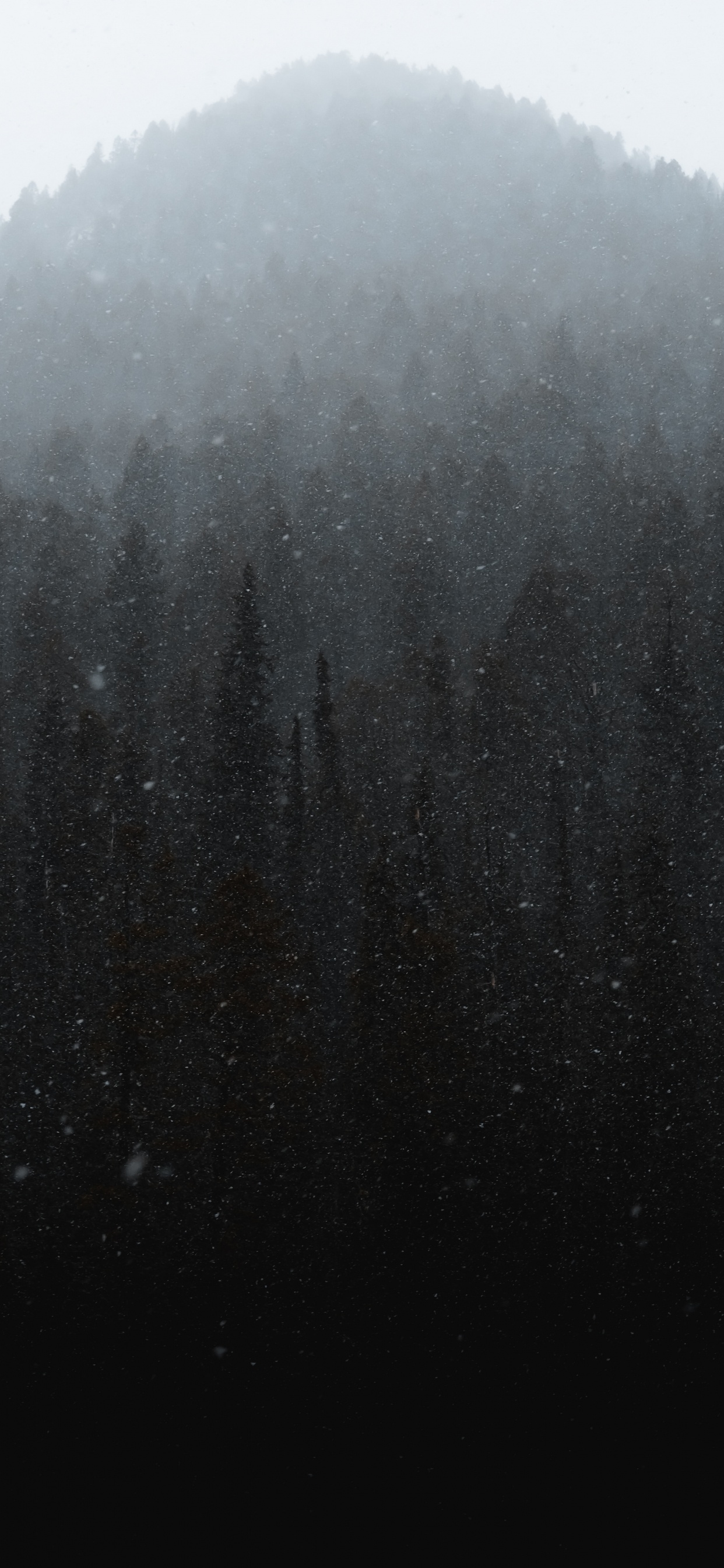 Hiver, Noir, Brouillard, Crachin, Brume. Wallpaper in 1242x2688 Resolution