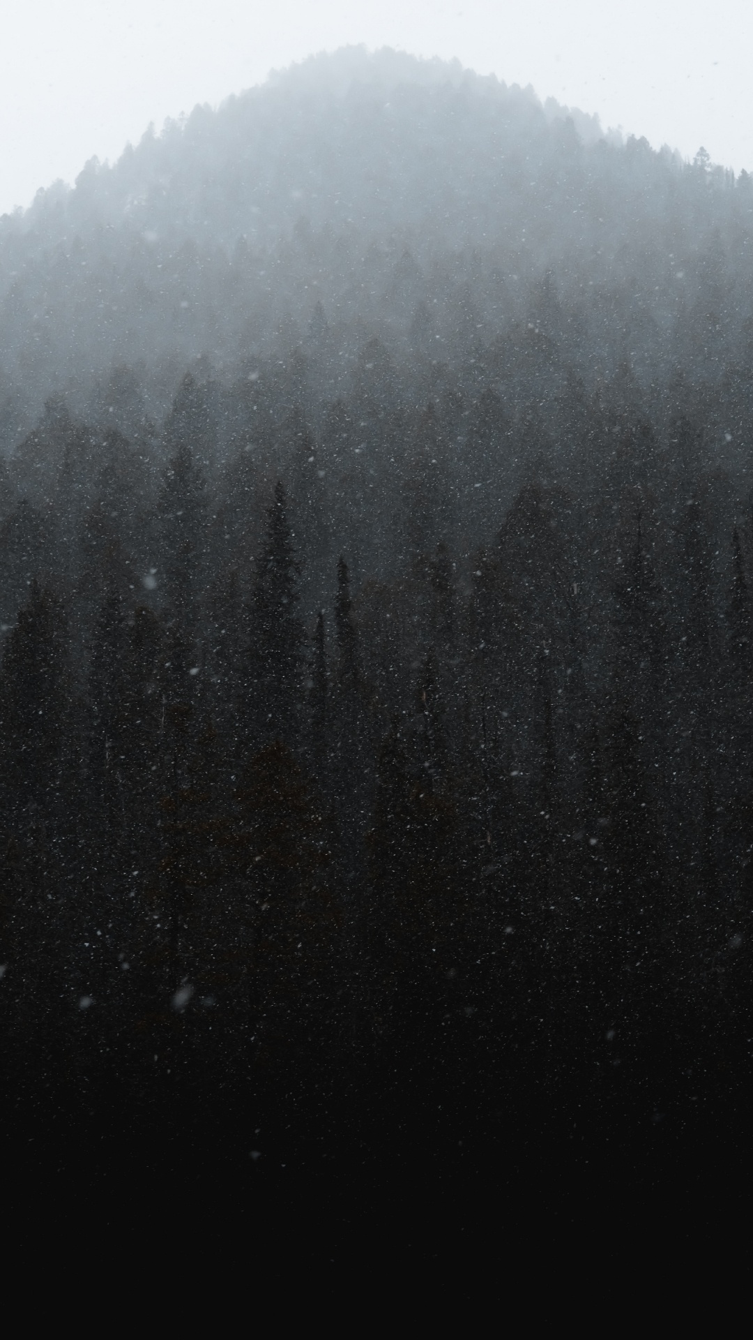 Mist, Winter, Black, Fog, Drizzle. Wallpaper in 1080x1920 Resolution