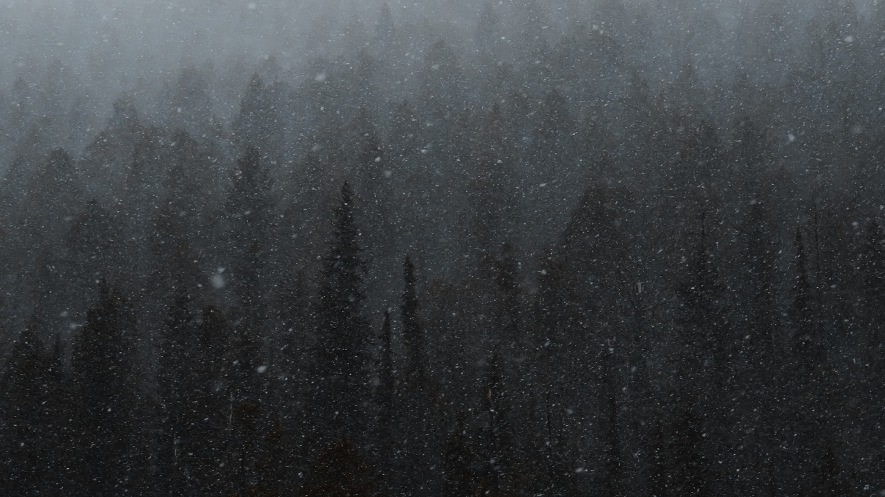 Mist, Winter, Black, Fog, Drizzle. Wallpaper in 1280x720 Resolution