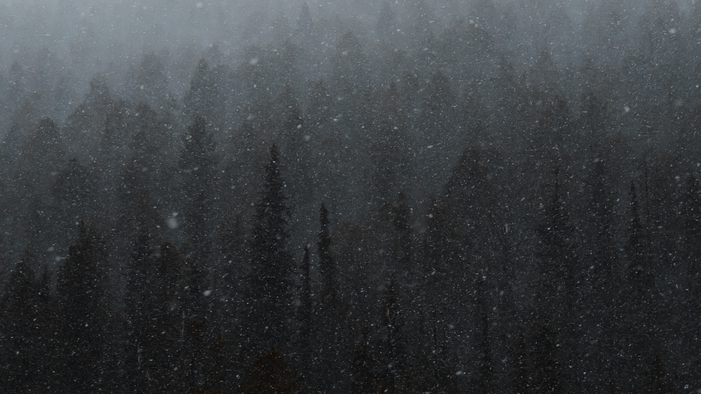 Winter, Schwarz, Nebel, Nieselregen, Dunst. Wallpaper in 1366x768 Resolution