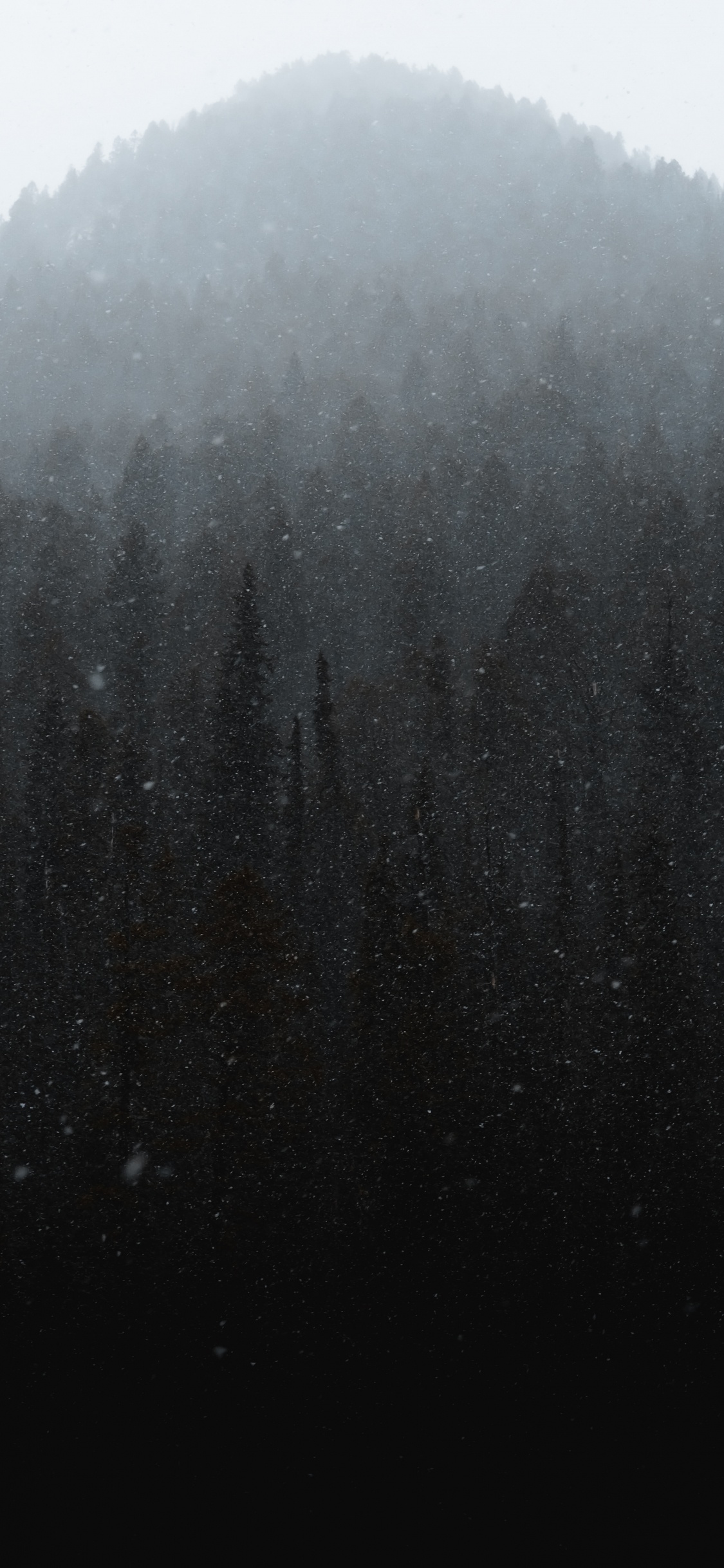 冬天, 黑色的, 雾, 小雨, 阴霾 壁纸 1125x2436 允许