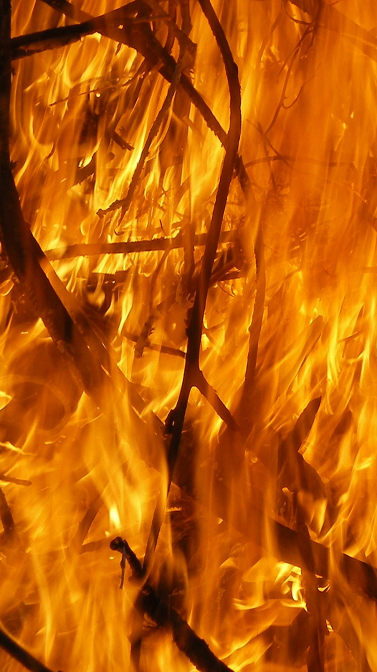 火焰, 野火, 木, 森林, 形成 壁纸 750x1334 允许