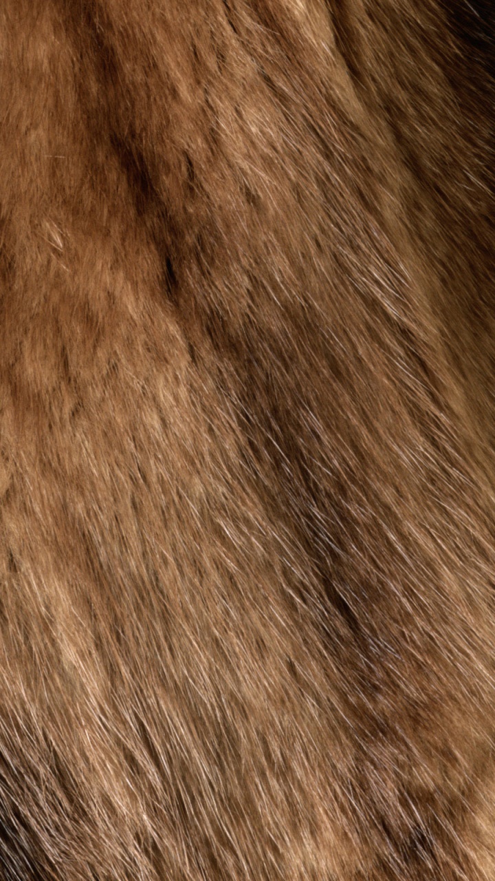 Brown and Black Fur Textile. Wallpaper in 720x1280 Resolution