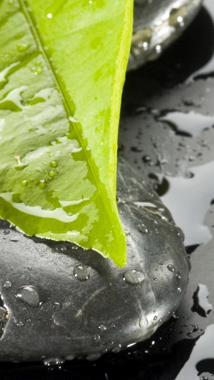 Water Droplets on Green Leaf. Wallpaper in 720x1280 Resolution