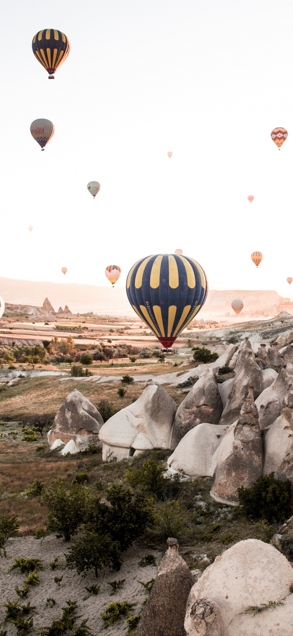 Globos de Aire Caliente, Vacaciones, Vuelo, Recreación, Globo. Wallpaper in 1125x2436 Resolution