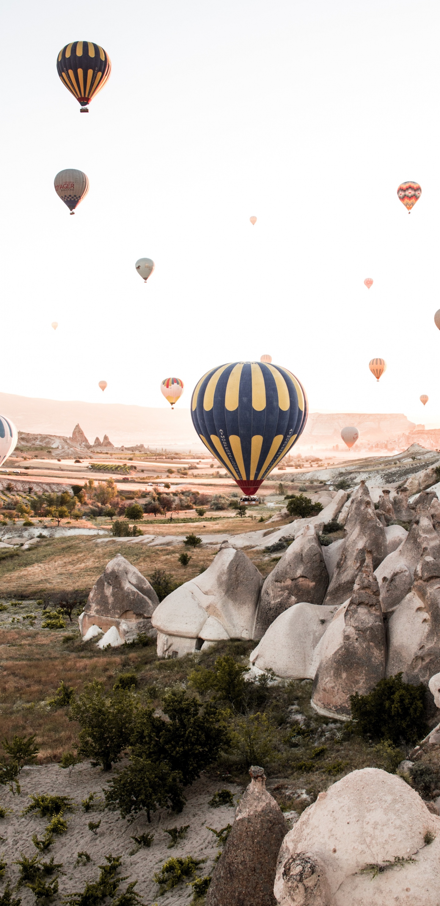 Hot Air Ballooning, Urlaub, Flug, Erholung, Ballon. Wallpaper in 1440x2960 Resolution