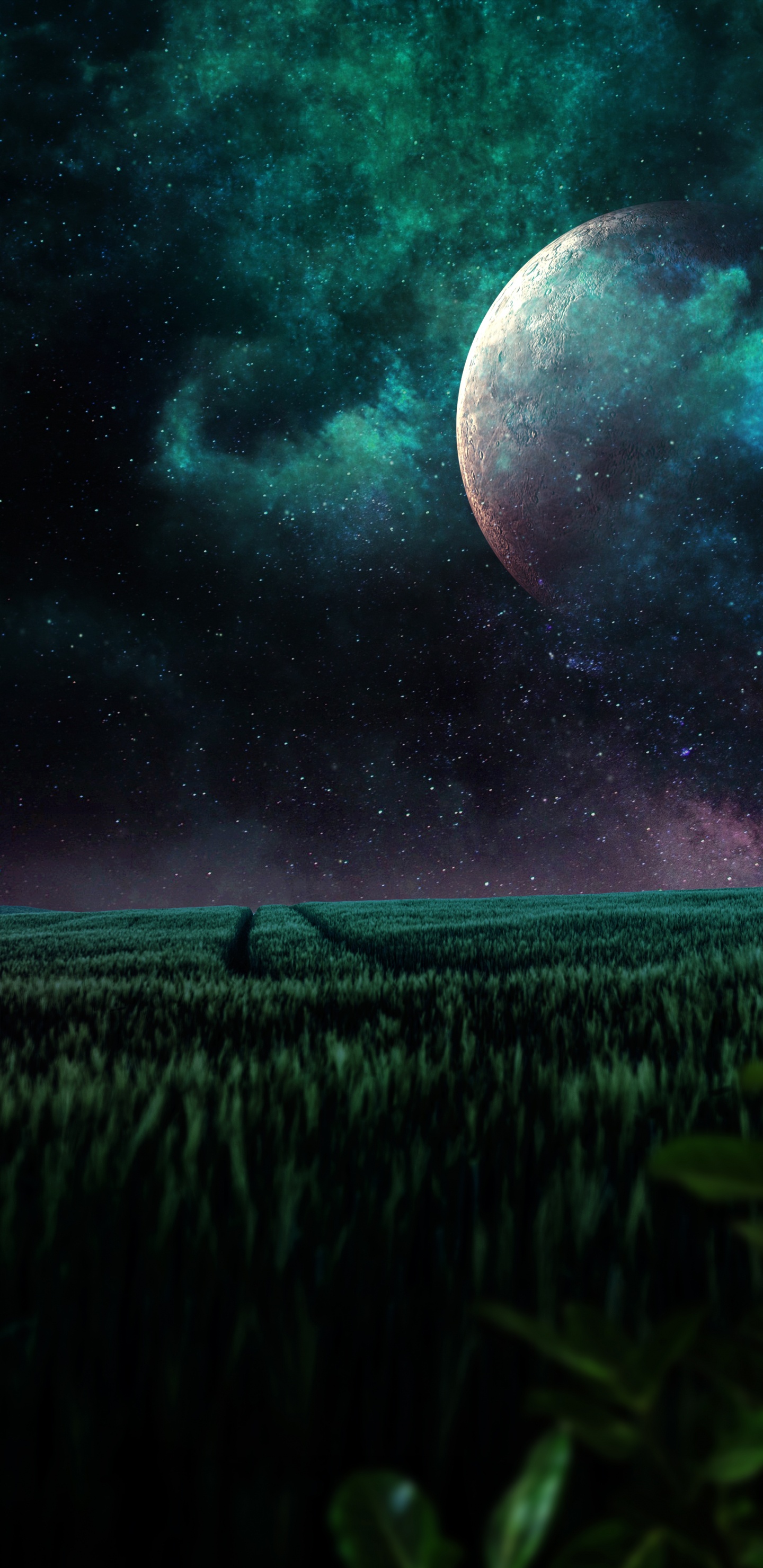 Nature, Espace Extérieur, Espace, Atmosphère, Environnement Naturel. Wallpaper in 1440x2960 Resolution