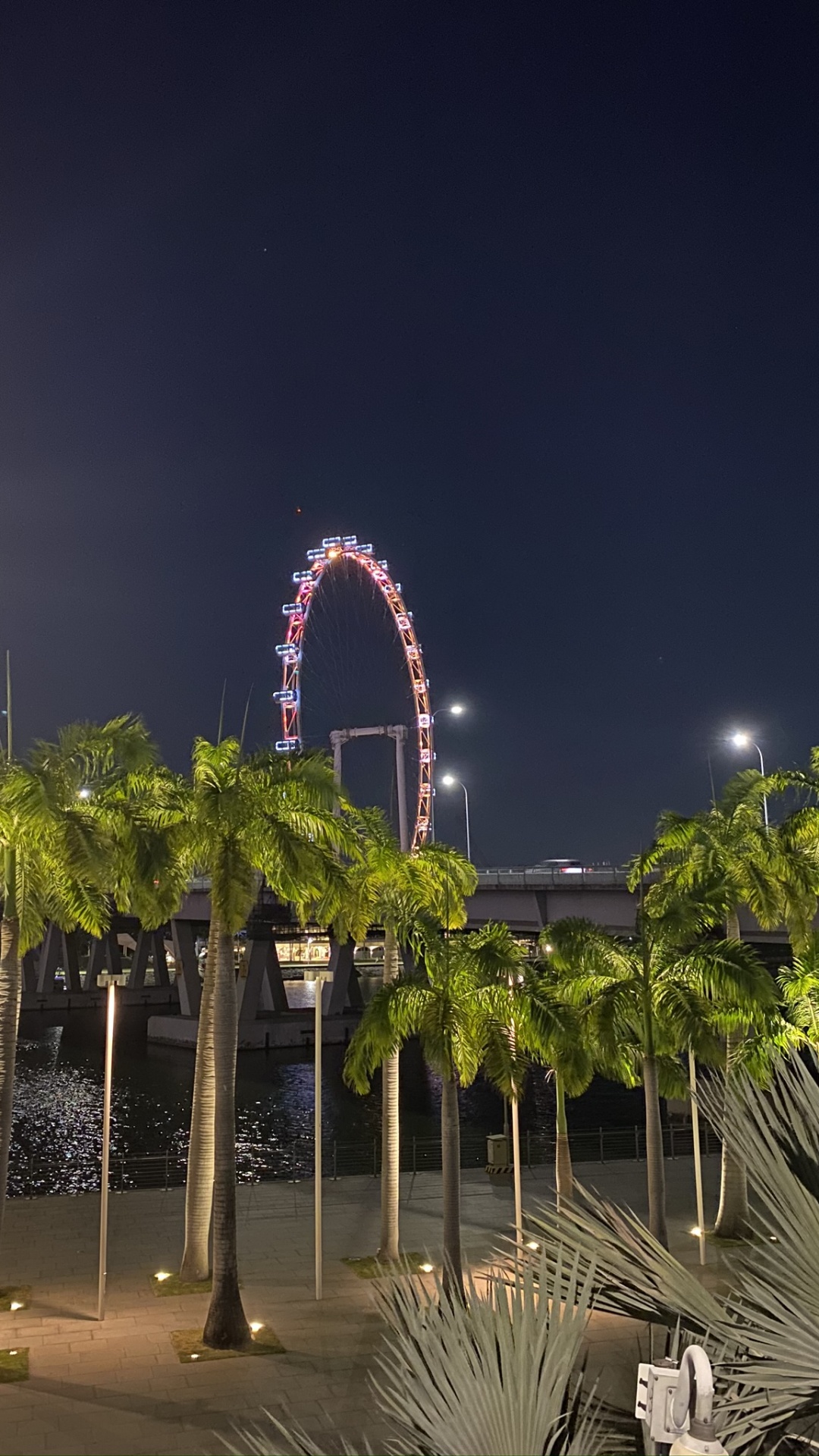 Singapore, Landmark, Palm Trees, Night, Sabal Minor. Wallpaper in 1080x1920 Resolution