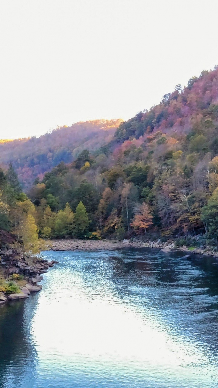 Green Trees Beside River During Daytime. Wallpaper in 720x1280 Resolution