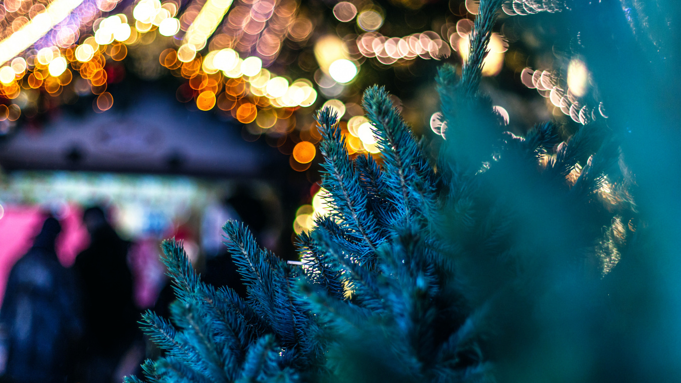 El Día De Navidad, Luces de Navidad, Azul, Navidad, Decoración de la Navidad. Wallpaper in 1366x768 Resolution