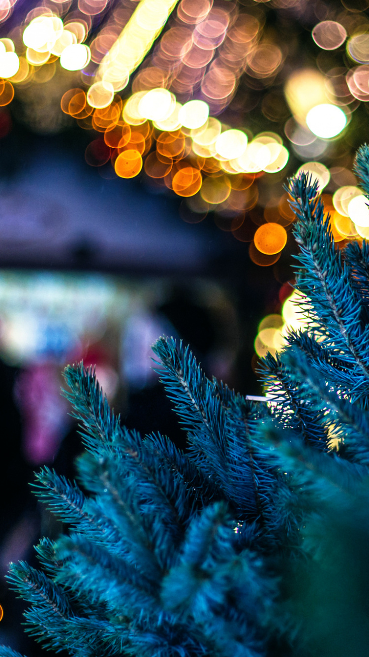 El Día De Navidad, Luces de Navidad, Azul, Navidad, Decoración de la Navidad. Wallpaper in 750x1334 Resolution