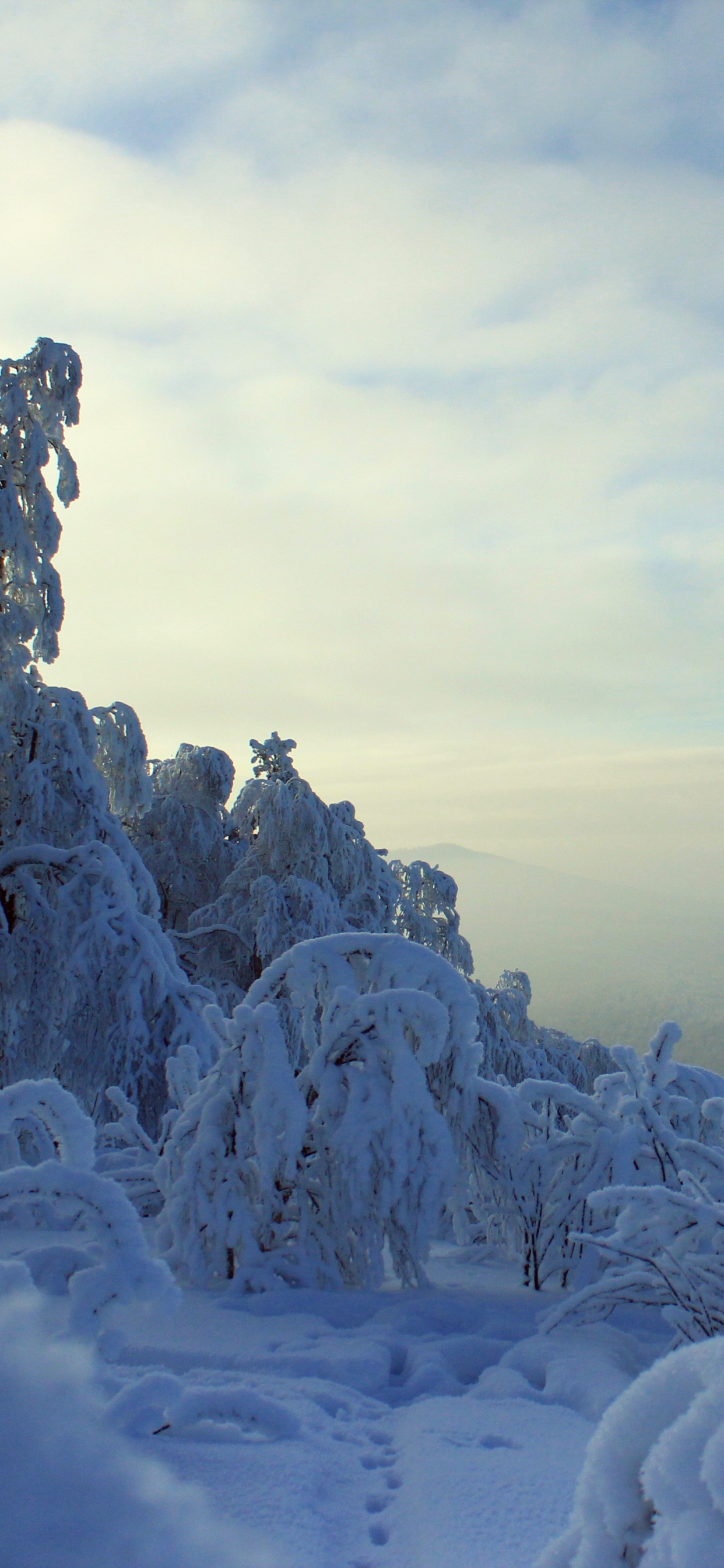 Montaña Cubierta de Nieve Durante el Día. Wallpaper in 1242x2688 Resolution