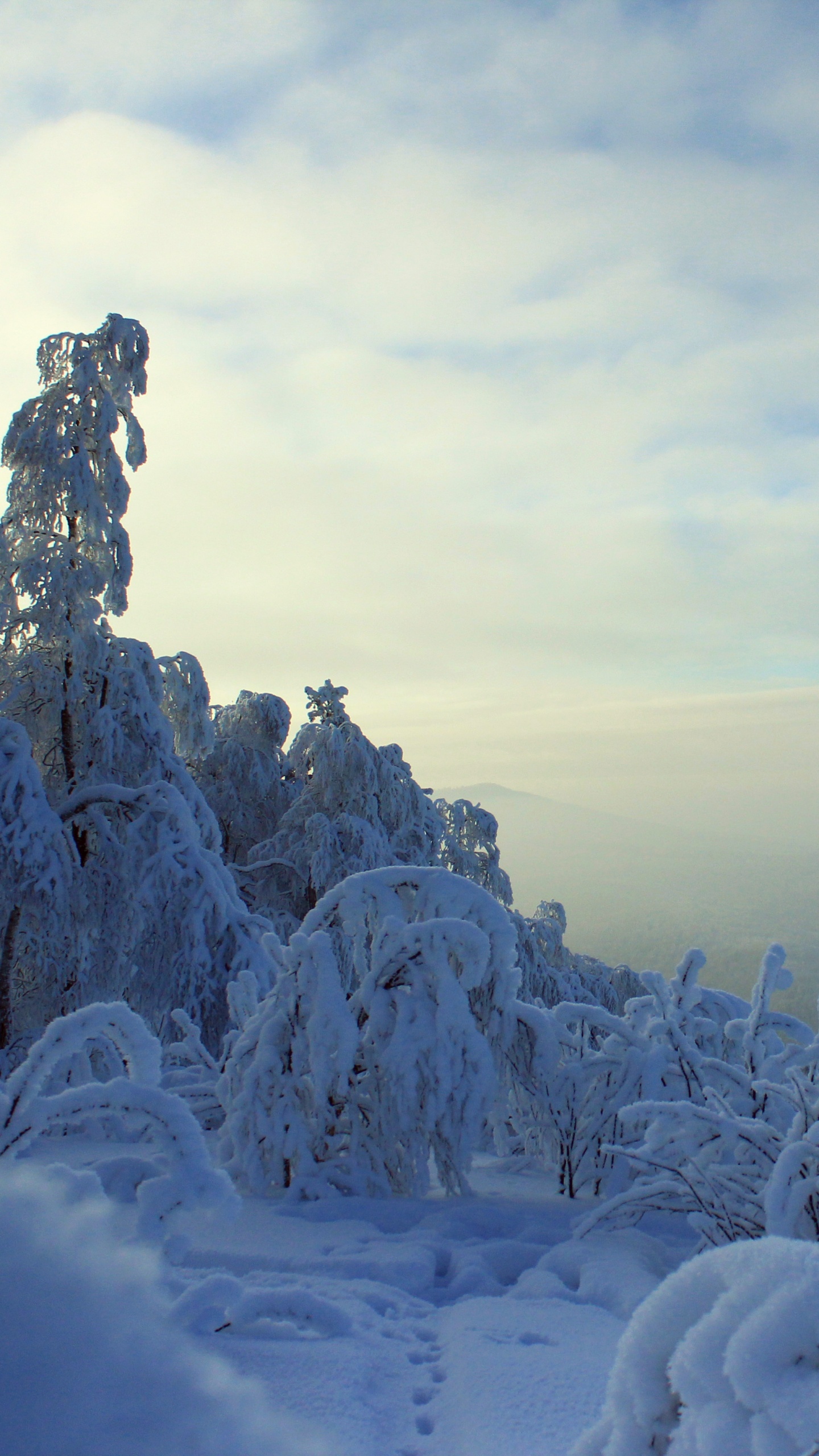 Montaña Cubierta de Nieve Durante el Día. Wallpaper in 1440x2560 Resolution