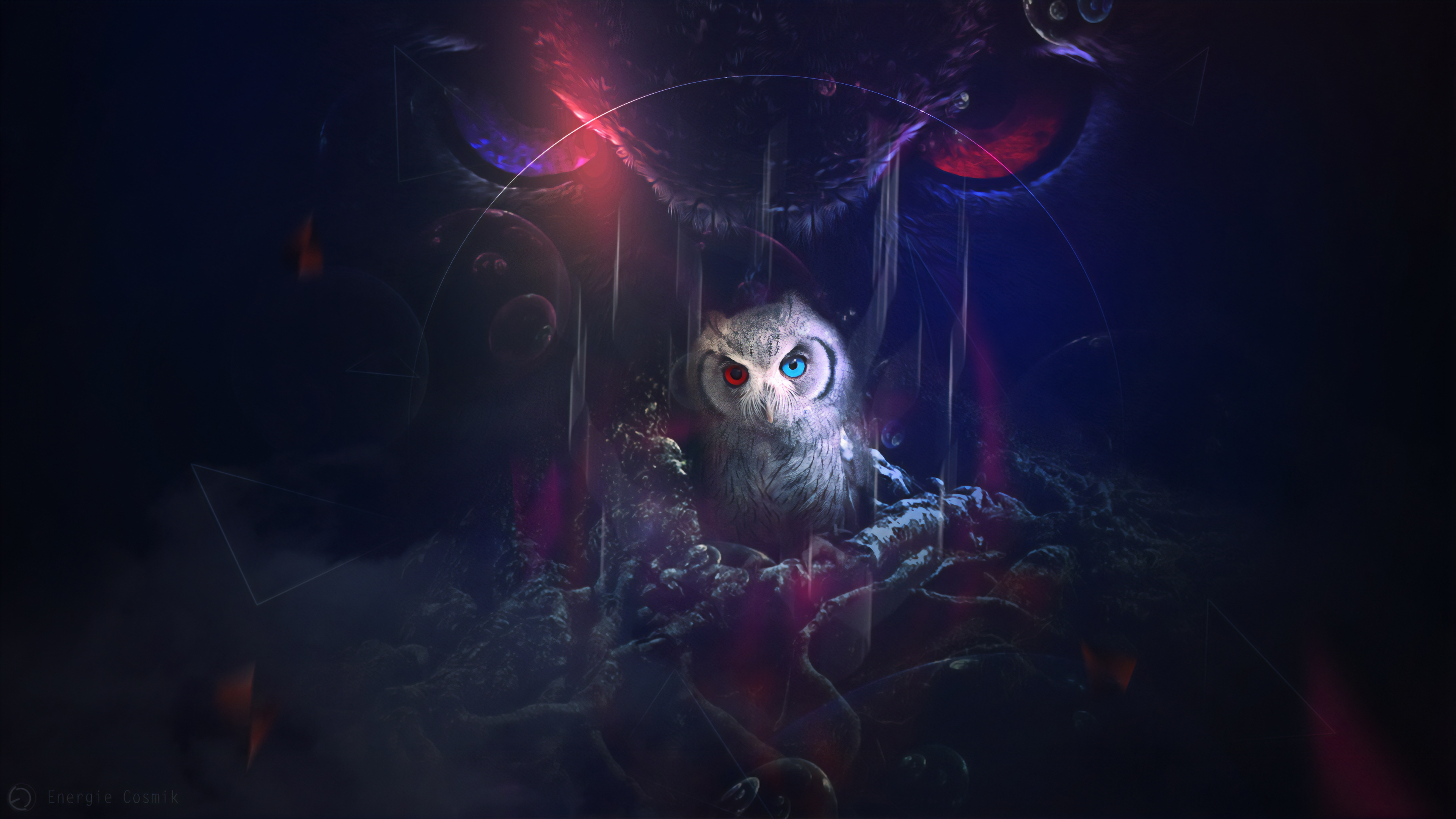 White Owl With Red Light. Wallpaper in 3840x2160 Resolution