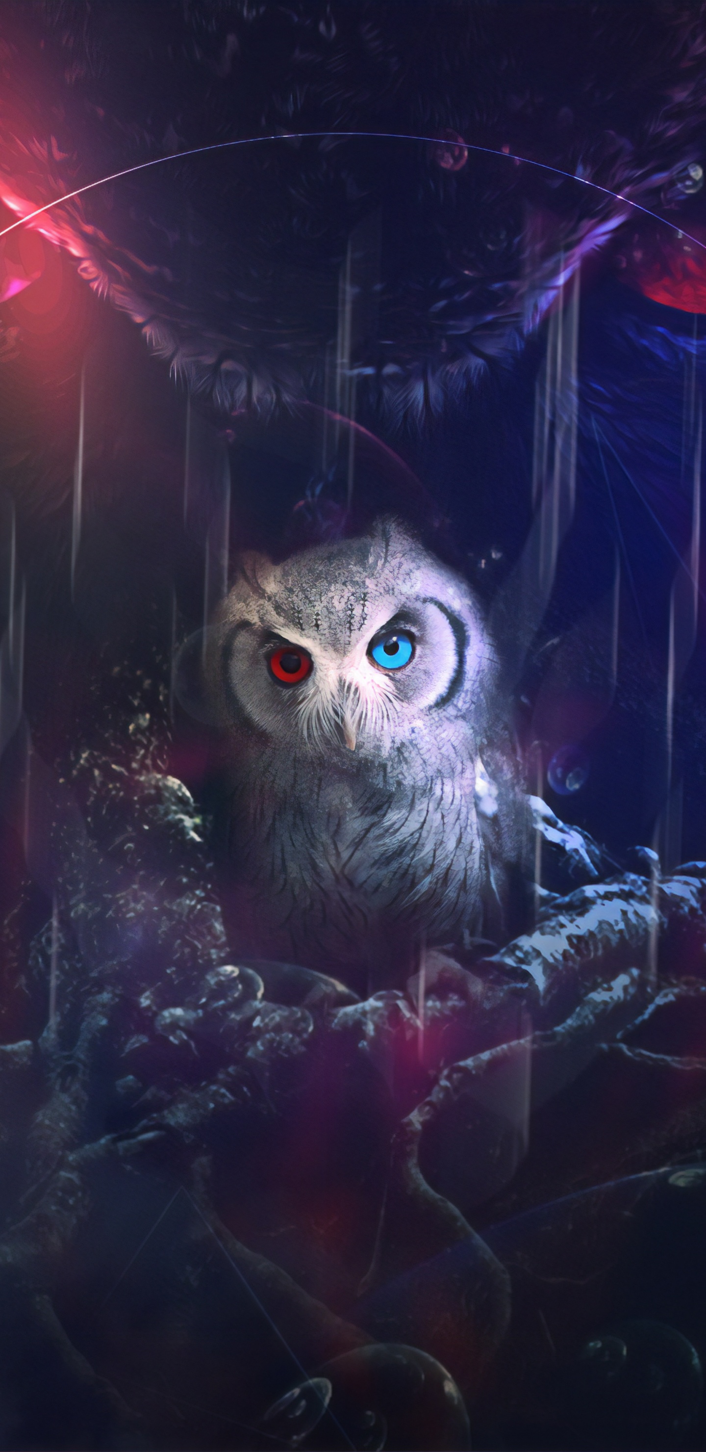 Hibou Blanc Avec Lumière Rouge. Wallpaper in 1440x2960 Resolution