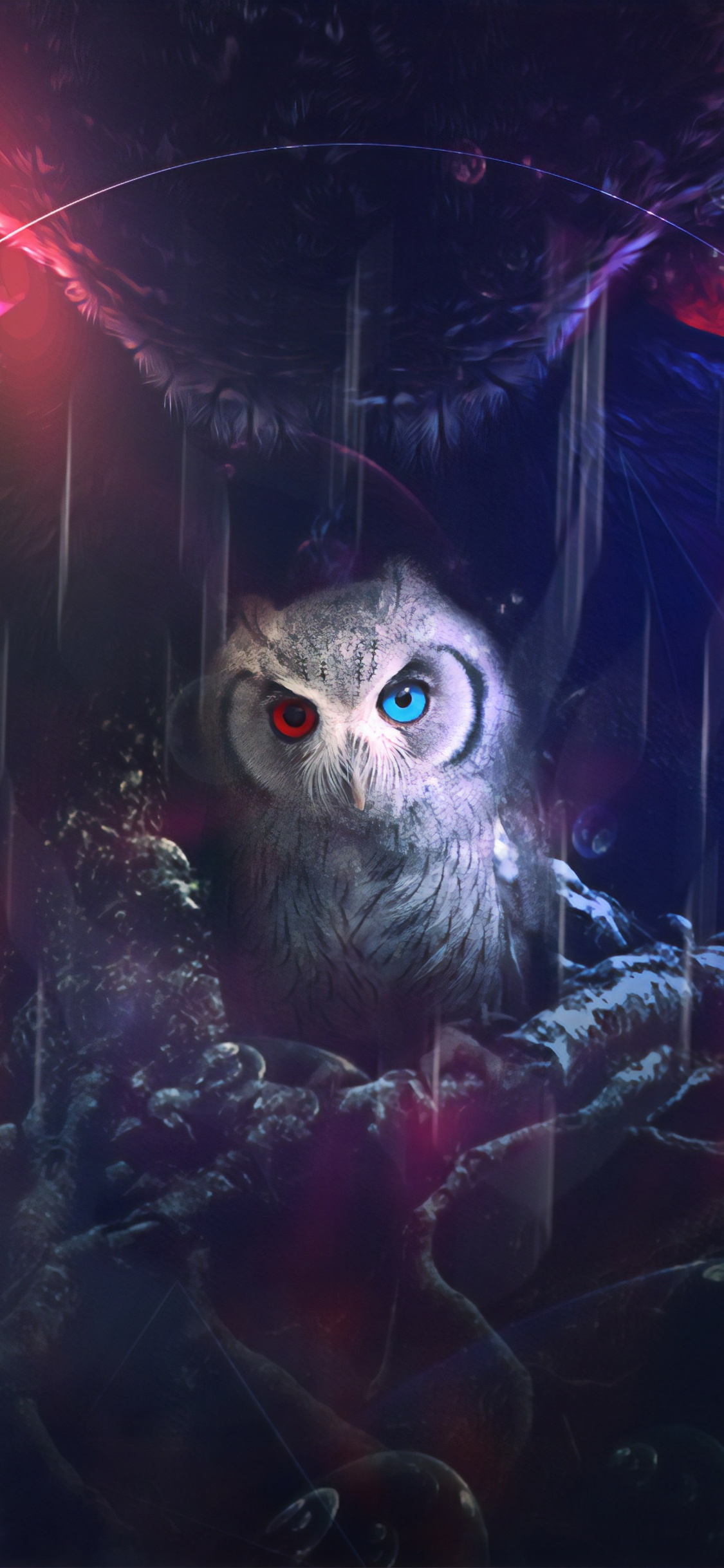Weiße Eule Mit Rotem Licht. Wallpaper in 1125x2436 Resolution