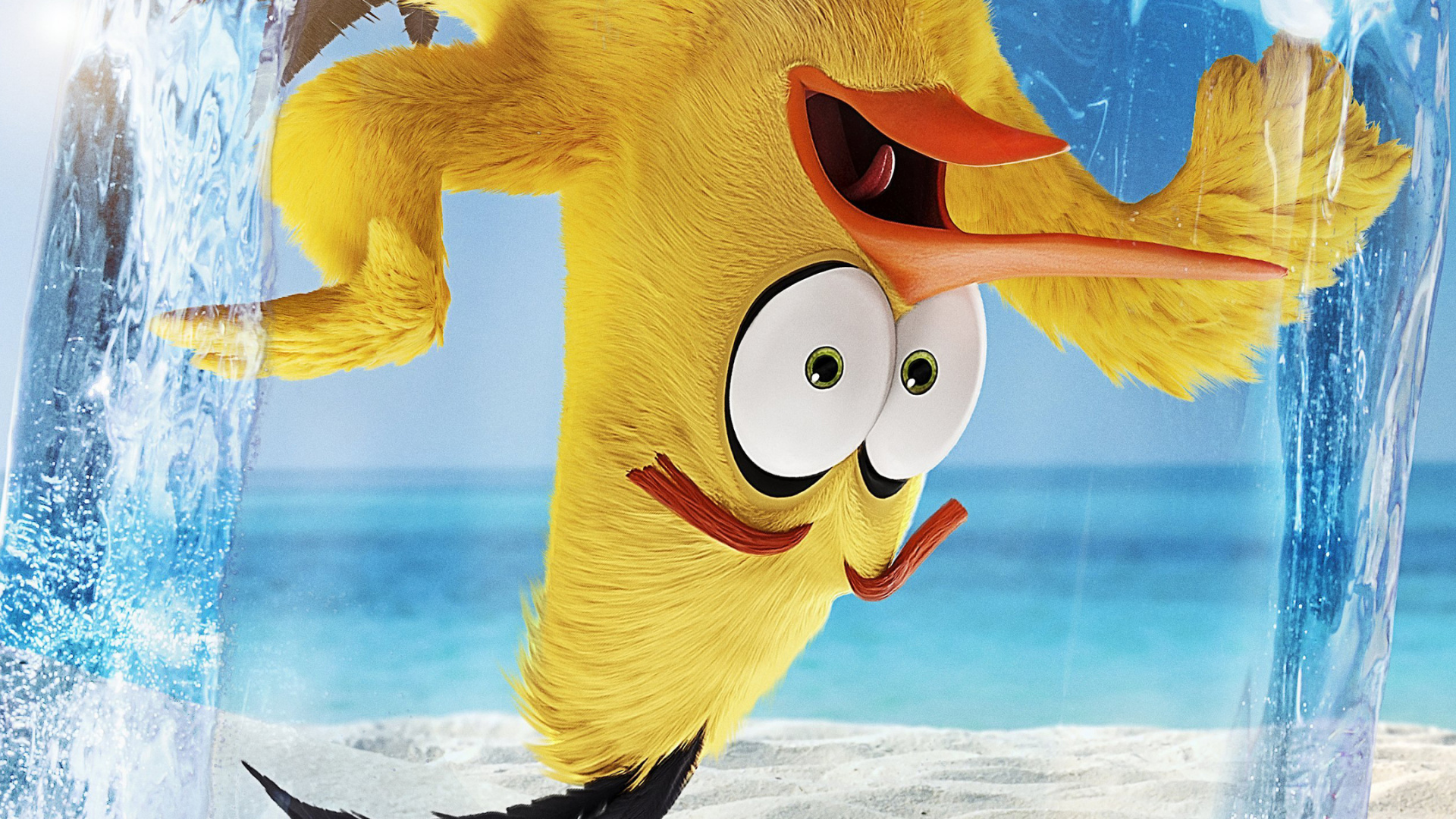 Mächtiger Adler, Chuck Angry Birds, Azure, Wasser, Kunst. Wallpaper in 1920x1080 Resolution