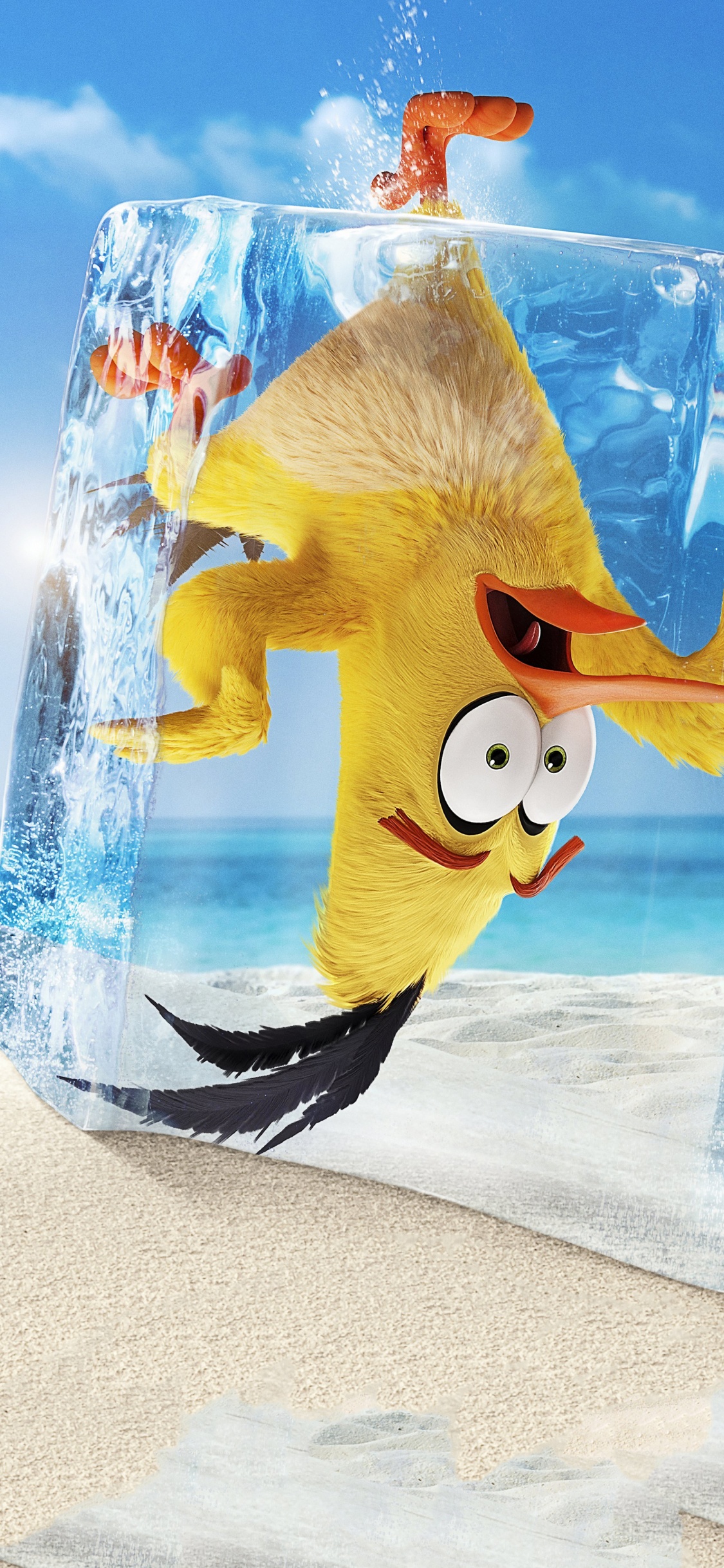 Mighty Eagle, Chuck, Chuck Angry Birds, Azure, Water. Wallpaper in 1125x2436 Resolution