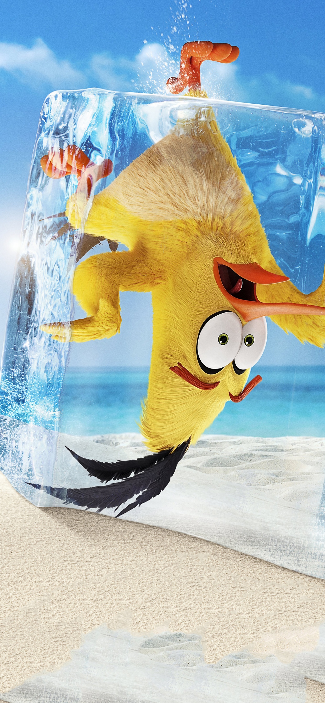 Mighty Eagle, Chuck, Chuck Angry Birds, Azure, Water. Wallpaper in 1242x2688 Resolution