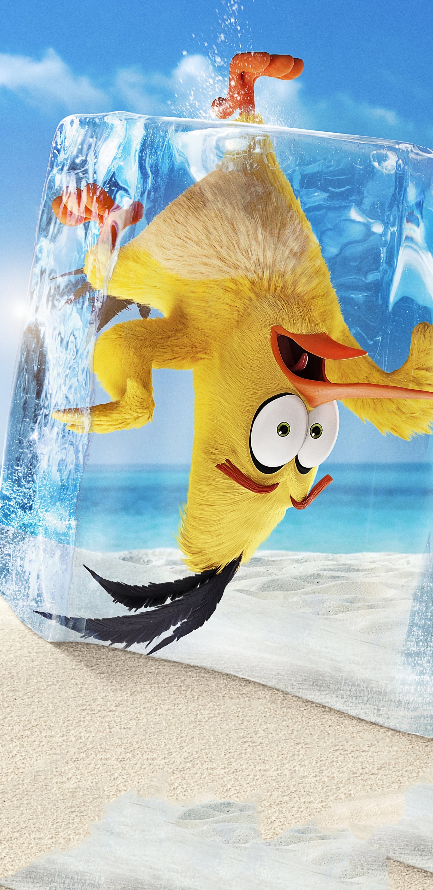 Mighty Eagle, Chuck, Chuck Angry Birds, Azure, Water. Wallpaper in 1440x2960 Resolution