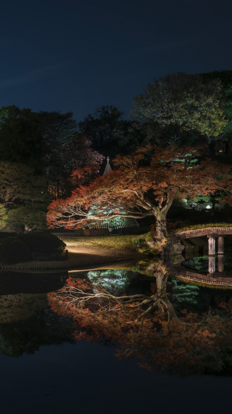反射, 性质, 风景照, 日本, 天空 壁纸 750x1334 允许