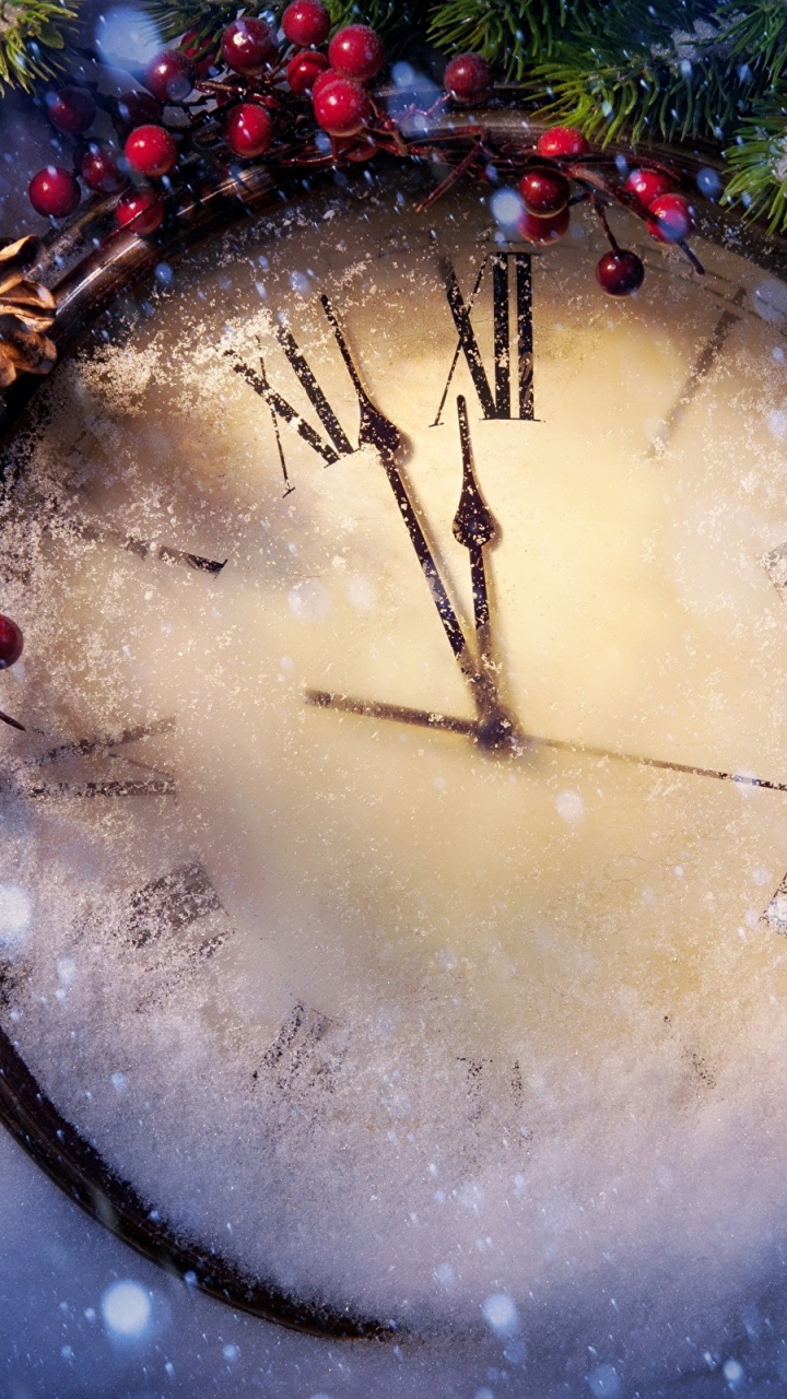 Nouvelle Année, Ornement de Noël, Sapin, Décoration de Noël, Le Jour De Noël. Wallpaper in 720x1280 Resolution