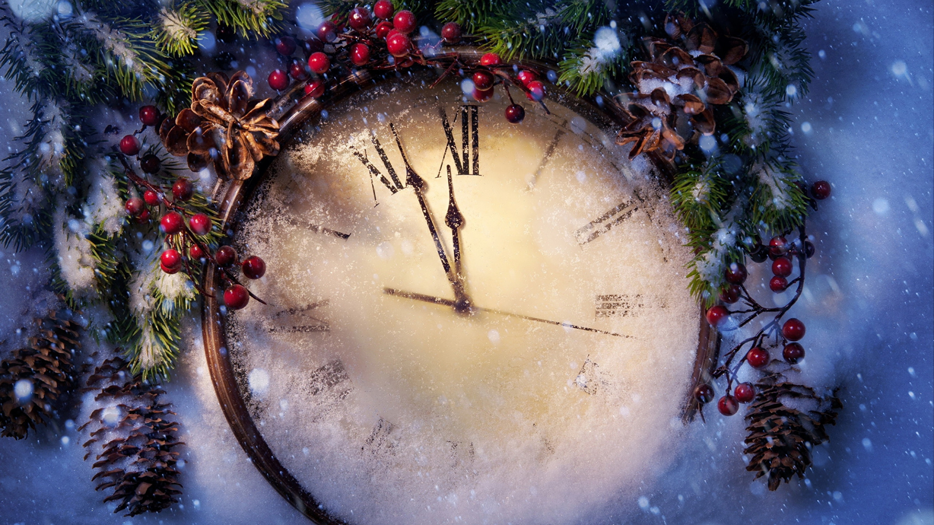 Neujahr, Baum, Christmas Ornament, Branch, Fir. Wallpaper in 1920x1080 Resolution