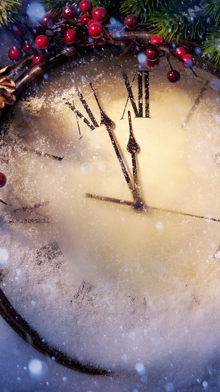 Neujahr, Baum, Christmas Ornament, Branch, Fir. Wallpaper in 750x1334 Resolution