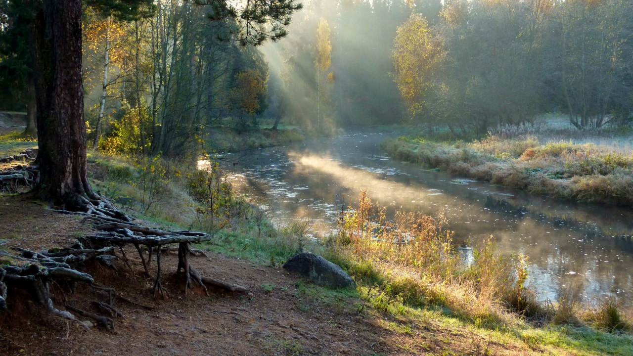 Brown Wooden Bench on Brown Dirt Road. Wallpaper in 1280x720 Resolution