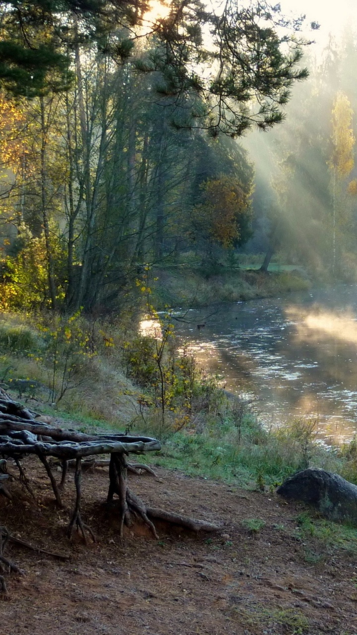 Brown Wooden Bench on Brown Dirt Road. Wallpaper in 720x1280 Resolution