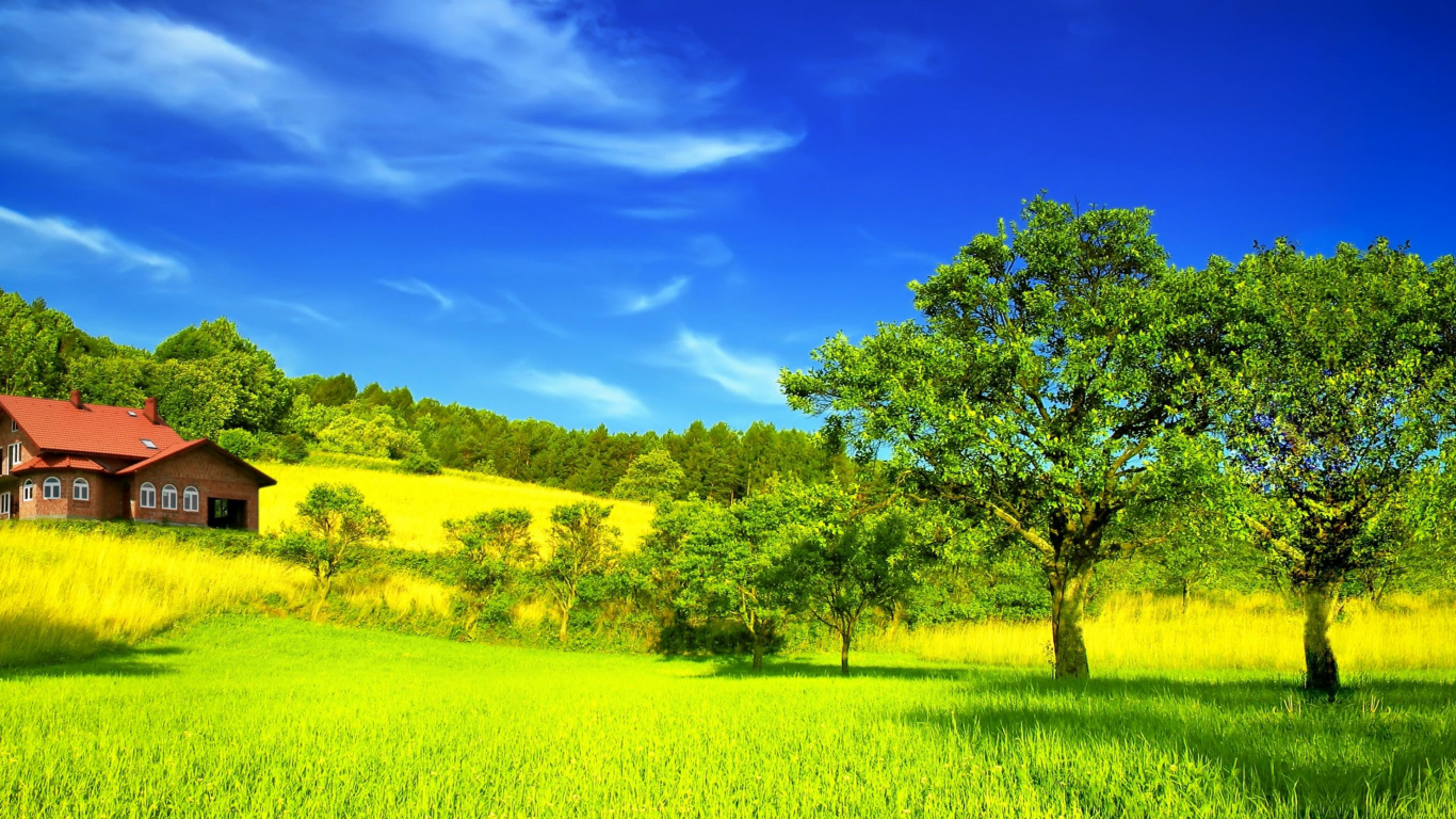 Champ D'herbe Verte Avec Des Arbres Verts Sous Ciel Bleu Pendant la Journée. Wallpaper in 1366x768 Resolution