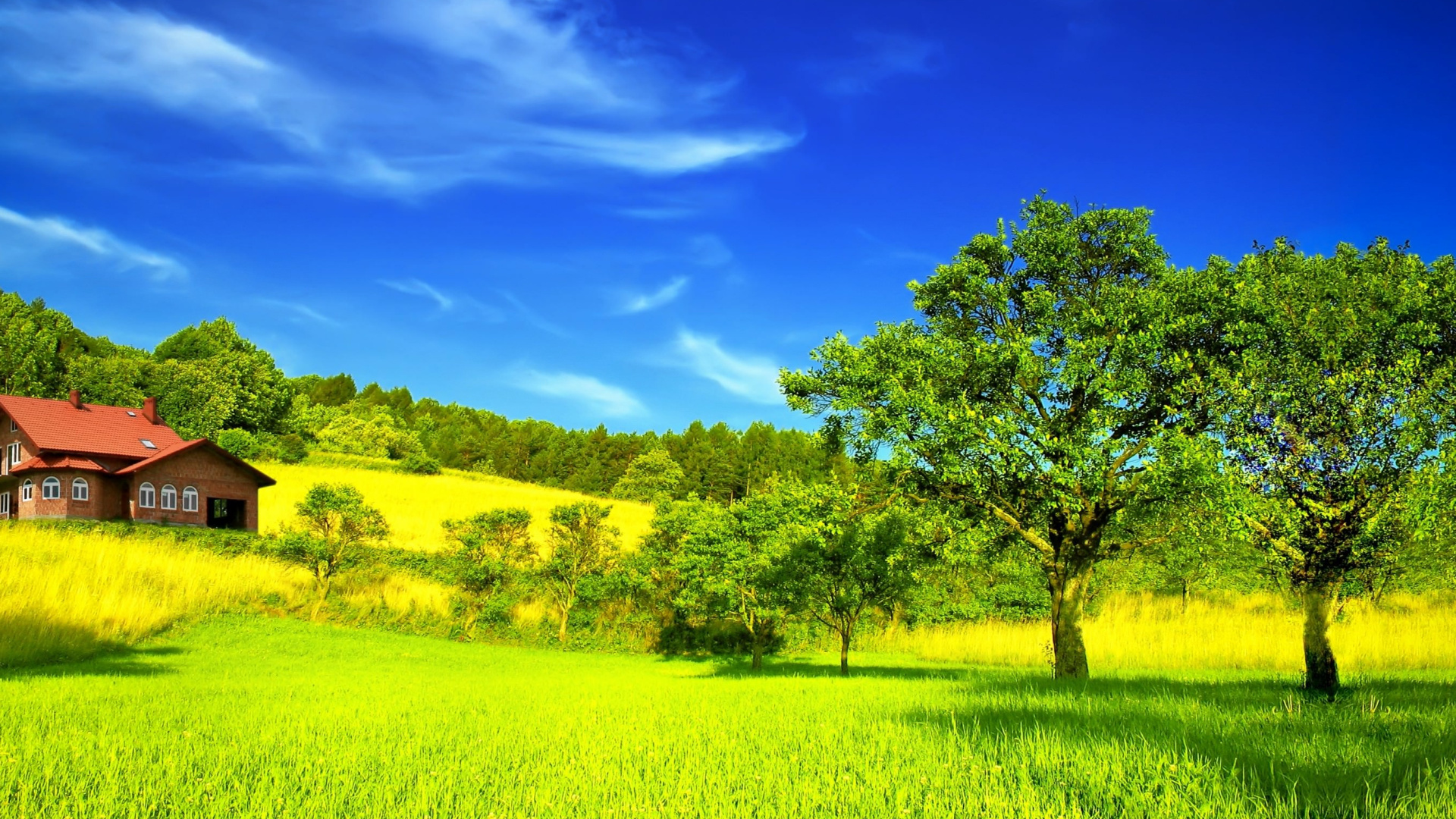 Campo de Hierba Verde Con Árboles Verdes Bajo un Cielo Azul Durante el Día. Wallpaper in 1920x1080 Resolution